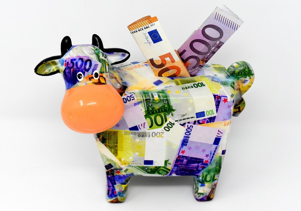 Sparschwein und Münzen als Symbol für günstige Mitgliedsbeiträge